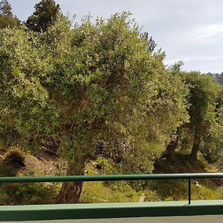 Dionysos Hotel Σκάλα Ποταμιάς Εξωτερικό φωτογραφία
